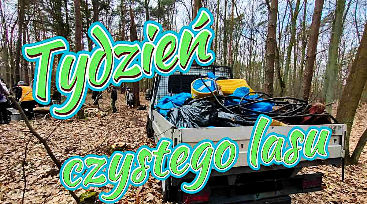 Tydzień czystego lasu