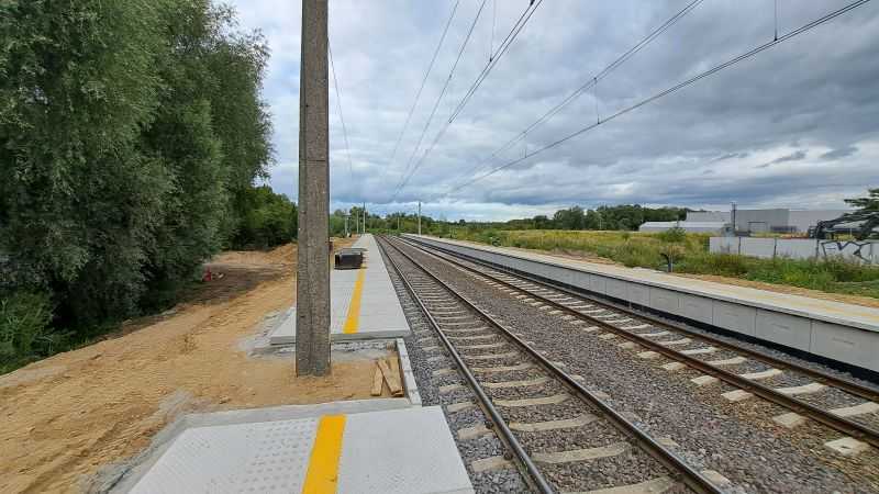 stołczyn północny